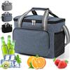 DUNSOO Borsa termica 15 l, piccola per viaggi, pieghevole, per picnic, barbecue, campeggio, escursioni, shopping, auto
