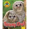 Ruth Owen Wildlife Watchers: Tawny Owl (Tascabile) Ruby Tuesday Readers