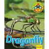 Ruth Owen Wildlife Watchers: Dragonfly (Tascabile) Ruby Tuesday Readers