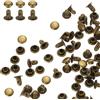 QUARKZMAN 100 Set Rivetti A Cappello Singolo 5mm Borchie Perno Bronzo | Fissaggi Tubolari Perno Metallico, Acciaio Al Carbonio, Testa Tonda, Per Riparazioni Decorazione Artigianato In Pelle
