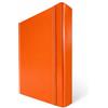 Euro-Cart Cartellina Portadocumenti con Elastico Piatto 7 Pezzi Dorso 8cm Cartellina 3 Lembi Rigida con Elastico in Cartone Plastificato Lucido per Ufficio, Scuola o Studio Made in Italy Arancio