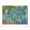 Niik Stampa gli iris di vincent van gogh 60 x 43 cm falso d'autore su tela