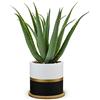 Oairse Pianta artificiale in vaso di aloe vera artificiale in vaso di ceramica, piante artificiali, decorazione per piante in plastica, per soggiorno, balcone, camera da letto, bagno, camera da letto,