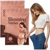 BASTOUR Cerotti Dimagranti Patch Patch Dimagranti Cerotti Dimagranti Efficaci Cerottis Efficaci l'Equilibrio del Metabolismo Cerotto Ultra Pancia e Vita Dimagranti per Bruciare i Grassi Sulla Pancia (2 PCS)