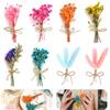CAREDGO 8 Mini Bouquet Fiori Secchi Naturali Fiori Secchi Decorativi Piccoli Mazzi Fiori Secchi Set Fiori Secchi per Biglietti Decorazione Regali Buste DIY Album Candele Artigianato Scrapbooking