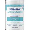 Protein SA COLPROPUR ARTICOLAZIONI 336G