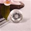 AAA Naturale Museum Grado Ceylon Bianco Zaffiro Loose Rotondo Gemma Cut 30x30 MM