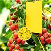 HoxzoDa 50 pezzi trappole per insetti, ciliegio, anti moscerini appiccicosi bifacciali (10 x 20 cm), per mosche bianche, afidi, tripidi e aloidi, protezione ecologica per piante interne e giardino