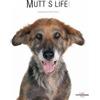 Fabio Petroni Mutts Life (Tascabile)