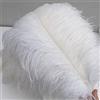 shekyeon Piume di struzzo da 40-45 cm, per fai da te, confezione da 10, colore: bianco