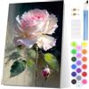 EOBROMD Dipingere con i Numeri Adulti con Telaio, Rosa Paint by Numbers, Fiori Kit di Pittura acrilica Fai-da-Te per Adulti con Pennelli Pittura a Pigmento Acrilico 20x30cm