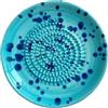 Generic Grattugia in ceramica naturale, tritacarne decorativo per zenzero, aglio, cipolla, formaggio, piatto a mano per aglio