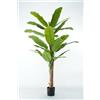 LIGUORO SHOP Pianta Artificiale di Banano con Corteccia Naturale, Foglie in PVC, Varie Misure, per Interni Residenziali e Commerciali (Chinquita 220 cm - 4 tronchi)