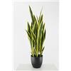 LIGUORO SHOP Sansevieria Artificiale Pianta Grassa Sintetica Realistica Foglie in Pvc per Arredare Interni e Attività Commerciali (Saveria - Sansevieria 90 cm)
