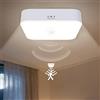 GBKDQQ Lampada da soffitto a LED con sensore di movimento, ricaricabile USB, funzionamento a batteria, 5000 K, 10000 mAh, 500 lm, lampada da soffitto per armadio, balcone, cantina, corridoio, garage