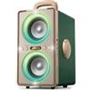 ODIOMX Cassa Bluetooth Portatile, 240W (Peak) Altoparlante Bluetooth Suono Potente e Nitido, Bassi Profondi, 20H, TWS Stereo Speaker, per Party, Campeggio, Spiaggia, Home e Outside (Green)