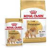 ROYAL CANIN Pomeranian Adult 1.5 kg + cibo umido Pomeranian Adult 12 x 85g