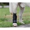Naapesi Tutore per caviglia per cani, protezione dalle perdite per gambe posteriori e anteriori, benda elastica per cani per guarigione delle ferite e supporto articolare, ginocchiera con chiusura in