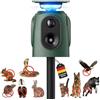 Elezenioc Spaventatore per gatti a ultrasuoni, a 360° con luce a LED, protezione contro le martore da giardino, IP65, impermeabile, 5 modalità, procione, per gatti, cani, martore, topi uccelli