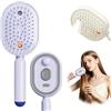 Lerkely Spazzola Elettrica Per Capelli A Vapore, Spazzola Per Capelli 2 In 1 Con Spruzzatori Con Spray Acqua, Per Capelli Spessi, Lisci, Ondulati, Ricci, Per Lisciare I Capelli A Casa, Quotidianamente, In
