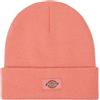 DICKIES CAPPELLO GIBSLAND ROSA