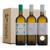 Tenuta di Tavignano Tasting Box 3 bottiglie - Esperienza delle Marche: 3 Bianchi Tenuta di Tavignano 0,750 L