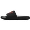 Guess Slides Palma