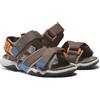 Timberland Adventure Seeker Sandal, Sandalo per bambini, marrone, 26 EU