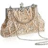 Amylove, Pochette da sera vintage anni '20 con perline, accessori formali anni '20 per le donne, regalo per feste di nozze, Champagne
