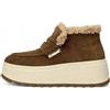 ASH Polacco Magic Land 36/Beige