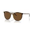 Ray-Ban Occhiali da sole rotondi per uomo donna RB2204, Avana su trasparente/marrone, Large
