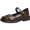 Lroey Reoly Scarpe Mary Jane da Donna con Tacco Largo, Pompe a Basso Tacco Punta Rotonda Fibbia Quotidiana Scarpe Semplici Scarpe da Festa, Numero 33-43