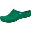 Birkenstock Schuhe Klassik Birki Antistatic Normal Green (067050) 36 Gruen
