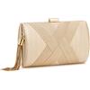 ZOUIQSS Pochette Donna,Pochette da sera Borsa da sera con frange,Borsa a tracolla Pochette da cerimonia nuziale Elegante Clutch con a catena(Champagne)