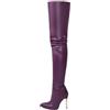 ticticlily Stivali al Ginocchio Donna Con Tacco A Spillo Invernali Stivaletti Alti Lunghi Antiscivolo Eleganti Boots