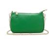 Chicca Borse Borsetta da donna in pelle, borsa a tracolla clutch pochette (Verde Mela)