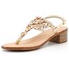 QUEEN HELENA Sandali Gioiello Infradito con Tacco Basso con Strass Eleganti Donna Y6024 (Oro, Sistema Taglie Calzature EU, Adulto, Donna, Numero, Media, 38)