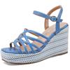 QUEEN HELENA Zeppe Sandali Alti con Cinturino Casual Donna ZM9978 (Blu Pu, Sistema Taglie Calzature EU, Adulto, Donna, Numero, Media, 37)