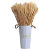Miss-shop Spighe di Grano Essiccate Naturali di Grano Essiccato 100 Pezzi Fiori Secchi Decorativi Fiori Secchi Naturali per Decorazioni Casa Vaso Tavolo Matrimonio 40 cm,Colore Primario