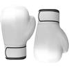 shjxi Guanti da Allenamento per Boxe 283g Attrezzatura Allenamento Kickboxing
