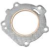 AYZLGAA for Motore fuoribordo Y-a-m-a-h-a 2 Tempi 3hp 6l511181 Guarnizione Testata