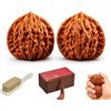 Generic Noci Wenwan naturali cinesi, autentiche noci da collezione, migliorano la destrezza delle dita, padri, anziani o collezionisti (B 37-38 mm)
