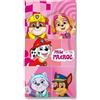 anemone Asciugamano da spiaggia in microfibra Paw Patrol 70 x 140 cm - Asciugatura rapida 250 GSM - Asciugamano da bagno per bambini - leggero compatto piscina da viaggio (C)