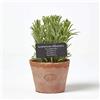 HOMESCAPES Rosmarino artificiale in vaso di terracotta Erbe finte decorative in vaso in vaso in vaso invecchiato per decorazione di interni, altezza 16 cm