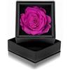 Aluisi Fiori Rosa Stabilizzata Fucsia in Cofanetto Nero - Rosa Stabilizzata Vera - Rosa Eterna - Fiore Stabilizzato - Fiori Stabilizzati - Simbolo di Seduzione e Intelligenza - Idea Regalo