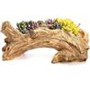 Tyenaza Vaso da Fiori per Piante Grasse, Fioriera in Resina per Piante Grasse, Ceppo di Radici d'Albero Vintage, Come Vaso per Fiori, per la Decorazione del Giardino di Casa (37,1x13x10,9 cm)