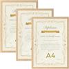 Vasemouh Cornice A4 in PVC, Cornice di Color Legno Naturale, Set di 3