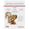 Edi. Ermes Human anatomy. Atlas. Con Contenuto digitale per accesso on line [Lingua inglese]