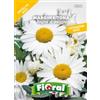 L'ORTOLANO Sementi da fiore di qualità in bustina per uso amatoriale (MARGHERITONA REGINA DI MAGGIO)