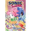 Ian Flynn Sonic the Hedgehog: Amy's Anni (Copertina rigida) (PRESALE 22/09/2026)